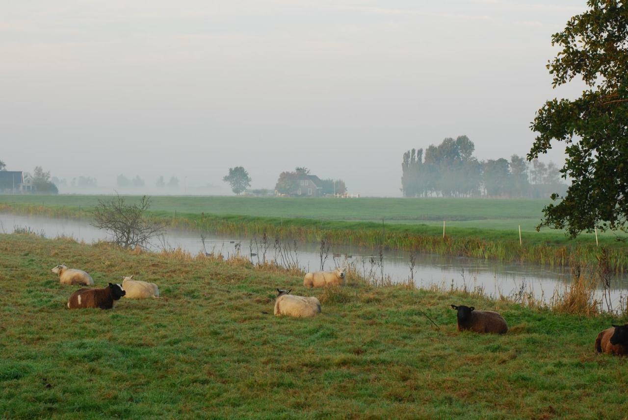 Dobberhuisje Nieuwkoop Exteriér fotografie