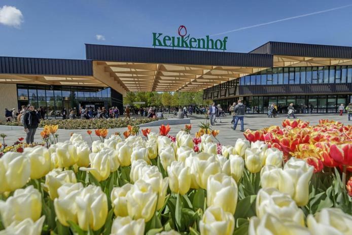 Dobberhuisje Nieuwkoop Exteriér fotografie